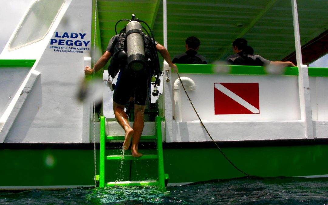 Discover Scuba Dive Course